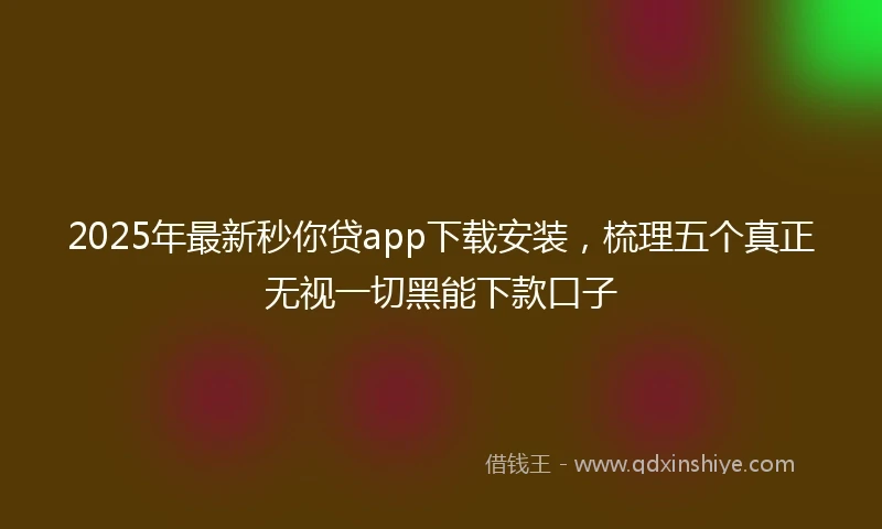 2025年最新秒你贷app下载安装，梳理五个真正无视一切黑能下款口子