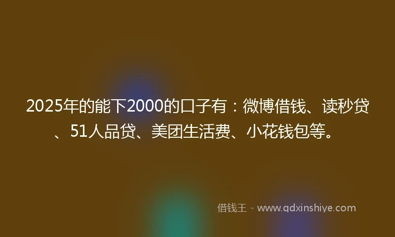 2025年的能下2000的口子有：微博借钱、读秒贷、51人品贷、美团生活费、小花钱包等。