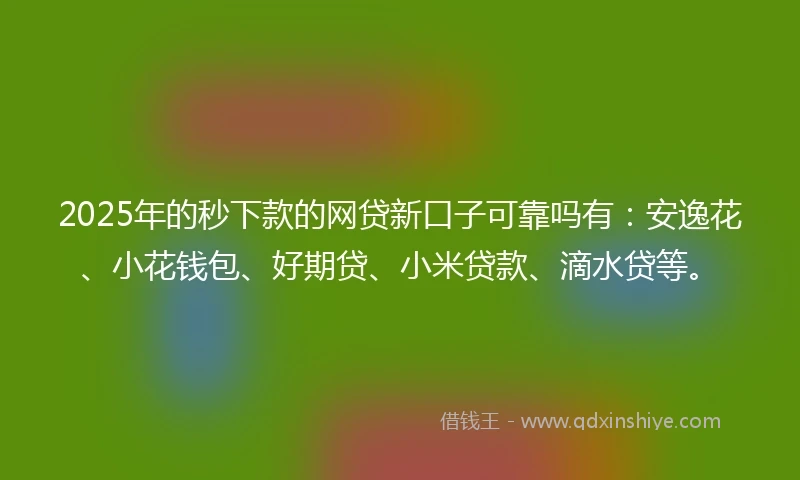 2025年的秒下款的网贷新口子可靠吗有：安逸花、小花钱包、好期贷、小米贷款、滴水贷等。