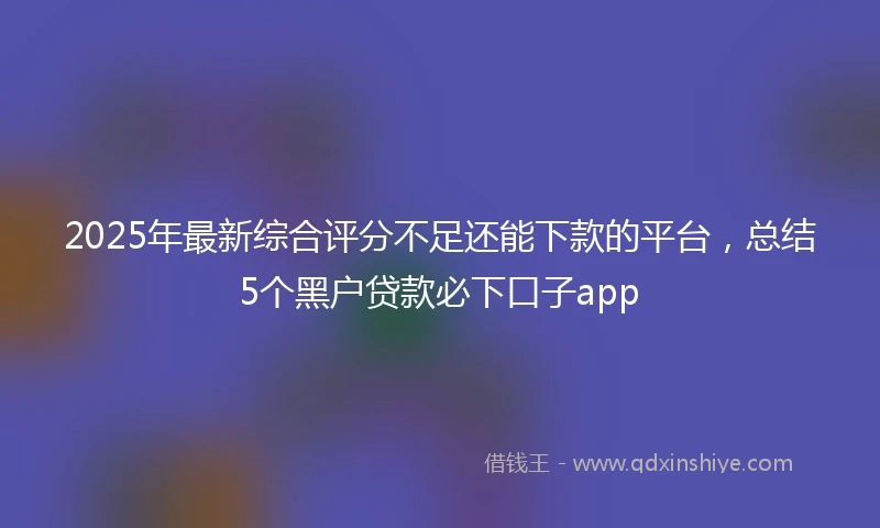 2025年最新综合评分不足还能下款的平台，总结5个黑户贷款必下口子app