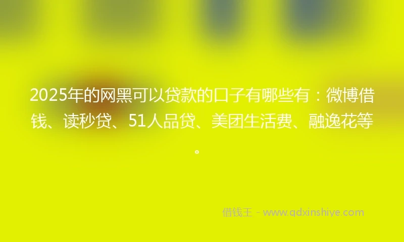 2025年的网黑可以贷款的口子有哪些有：微博借钱、读秒贷、51人品贷、美团生活费、融逸花等。