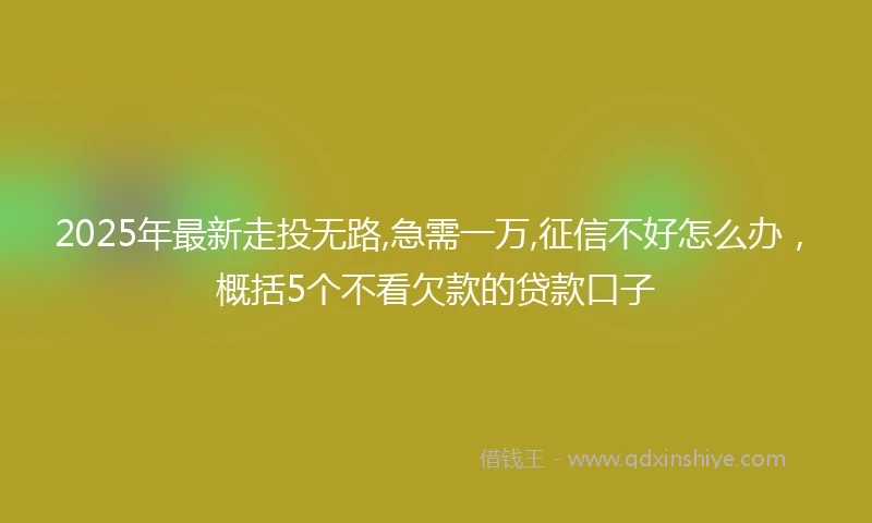 2025年最新走投无路,急需一万,征信不好怎么办，概括5个不看欠款的贷款口子