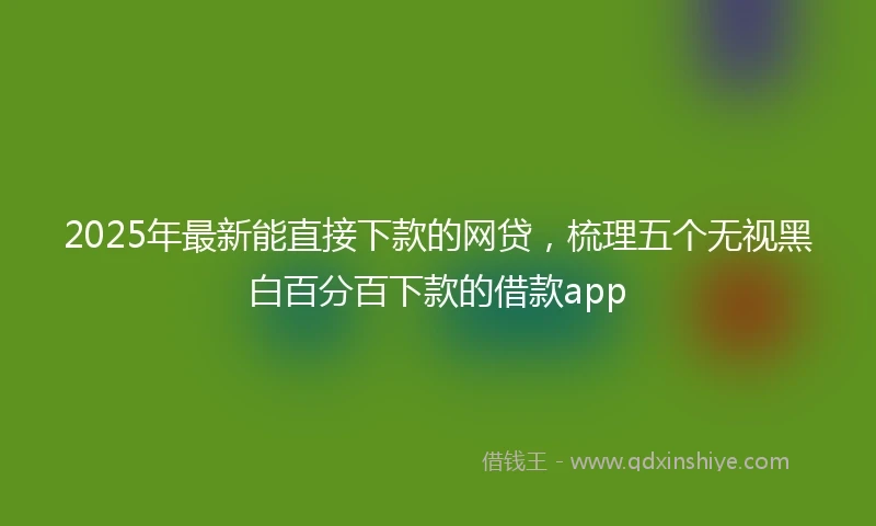 2025年最新能直接下款的网贷，梳理五个无视黑白百分百下款的借款app