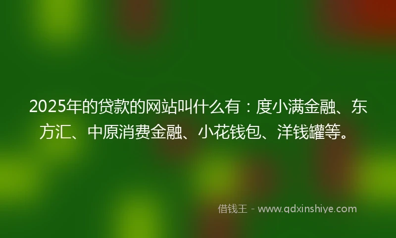 2025年的贷款的网站叫什么有：度小满金融、东方汇、中原消费金融、小花钱包、洋钱罐等。