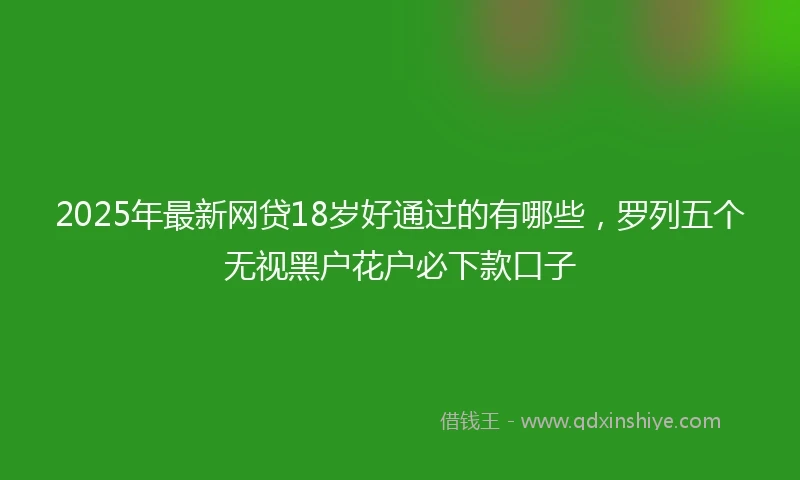 2025年最新网贷18岁好通过的有哪些，罗列五个无视黑户花户必下款口子