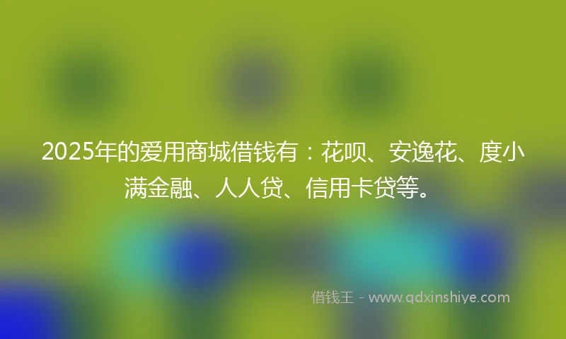 2025年的爱用商城借钱有：花呗、安逸花、度小满金融、人人贷、信用卡贷等。