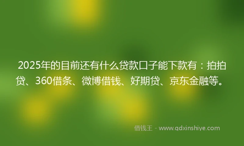 2025年的目前还有什么贷款口子能下款有：拍拍贷、360借条、微博借钱、好期贷、京东金融等。