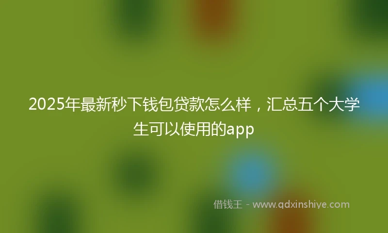 2025年最新秒下钱包贷款怎么样，汇总五个大学生可以使用的app