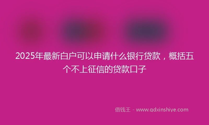 2025年最新白户可以申请什么银行贷款，概括五个不上征信的贷款口子