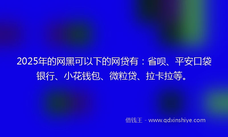 2025年的网黑可以下的网贷有：省呗、平安口袋银行、小花钱包、微粒贷、拉卡拉等。