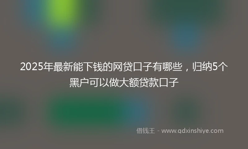 2025年最新能下钱的网贷口子有哪些，归纳5个黑户可以做大额贷款口子