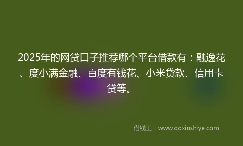 2025年的网贷口子推荐哪个平台借款有：融逸花、度小满金融、百度有钱花、小米贷款、信用卡贷等。