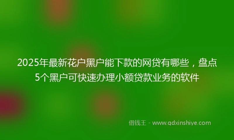 2025年最新花户黑户能下款的网贷有哪些，盘点5个黑户可快速办理小额贷款业务的软件