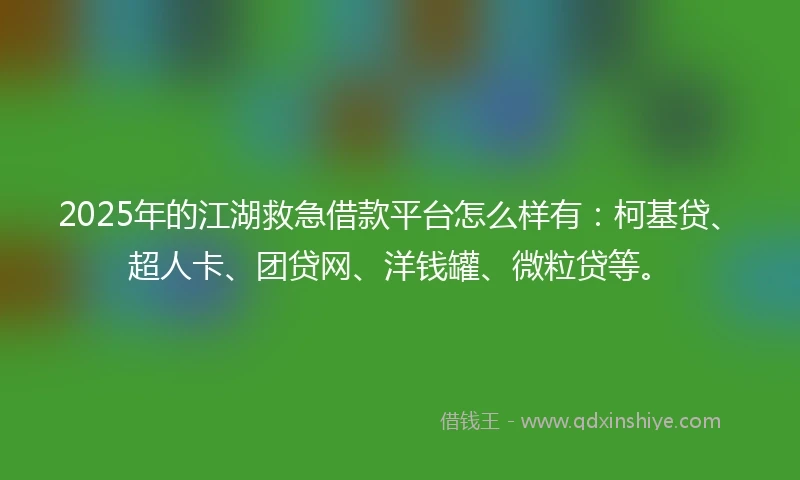 2025年的江湖救急借款平台怎么样有:柯基贷、超人卡、团贷网、洋钱罐、微粒贷等。