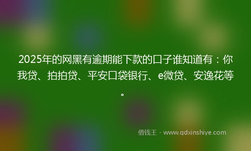 2025年的网黑有逾期能下款的口子谁知道有：你我贷、拍拍贷、平安口袋银行、e微贷、安逸花等。
