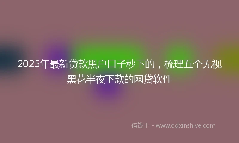 2025年最新贷款黑户口子秒下的，梳理五个无视黑花半夜下款的网贷软件