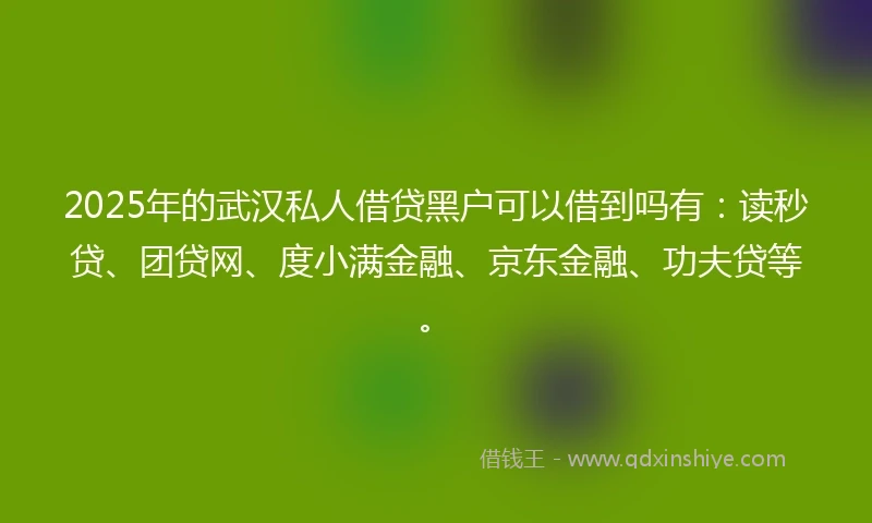 2025年的武汉私人借贷黑户可以借到吗有：读秒贷、团贷网、度小满金融、京东金融、功夫贷等。