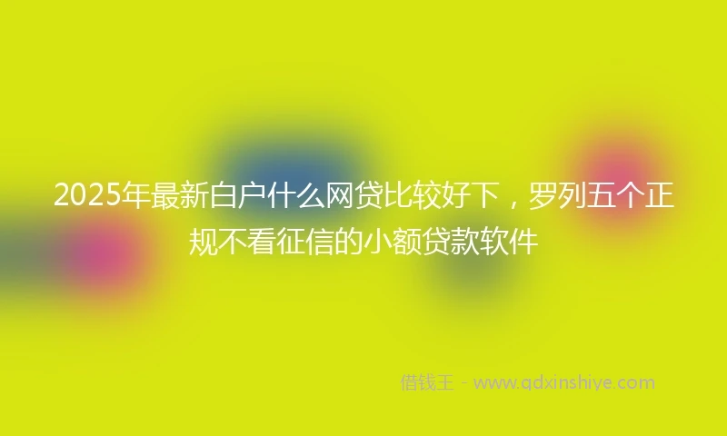 2025年最新白户什么网贷比较好下，罗列五个正规不看征信的小额贷款软件
