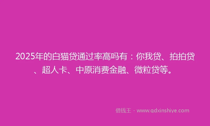 2025年的白猫贷通过率高吗有：你我贷、拍拍贷、超人卡、中原消费金融、微粒贷等。