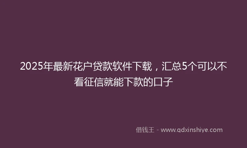 2025年最新花户贷款软件下载，汇总5个可以不看征信就能下款的口子
