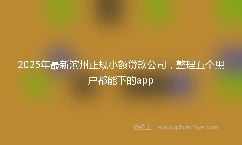 2025年最新滨州正规小额贷款公司，整理五个黑户都能下的app