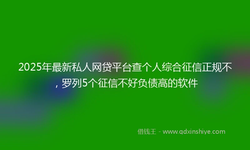 2025年最新私人网贷平台查个人综合征信正规不，罗列5个征信不好负债高的软件