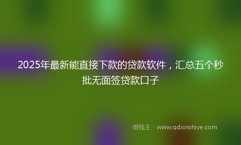 2025年最新能直接下款的贷款软件，汇总五个秒批无面签贷款口子