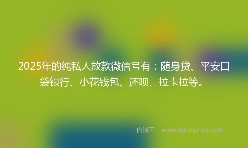 2025年的纯私人放款微信号有：随身贷、平安口袋银行、小花钱包、还呗、拉卡拉等。