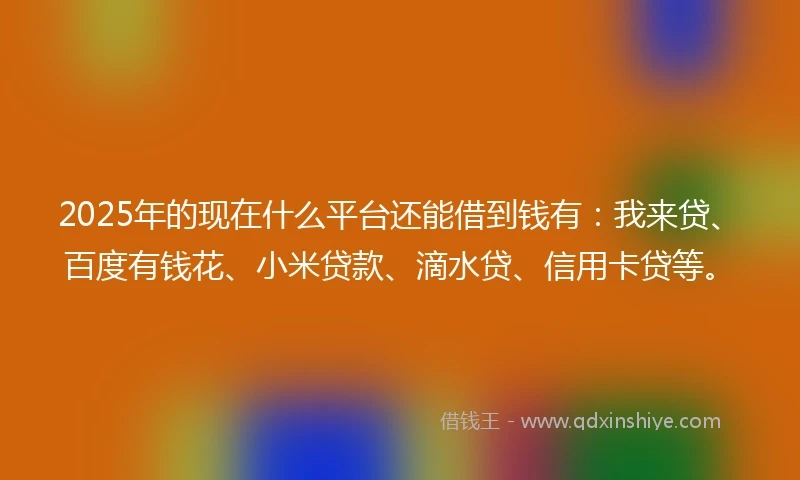 2025年的现在什么平台还能借到钱有：我来贷、百度有钱花、小米贷款、滴水贷、信用卡贷等。