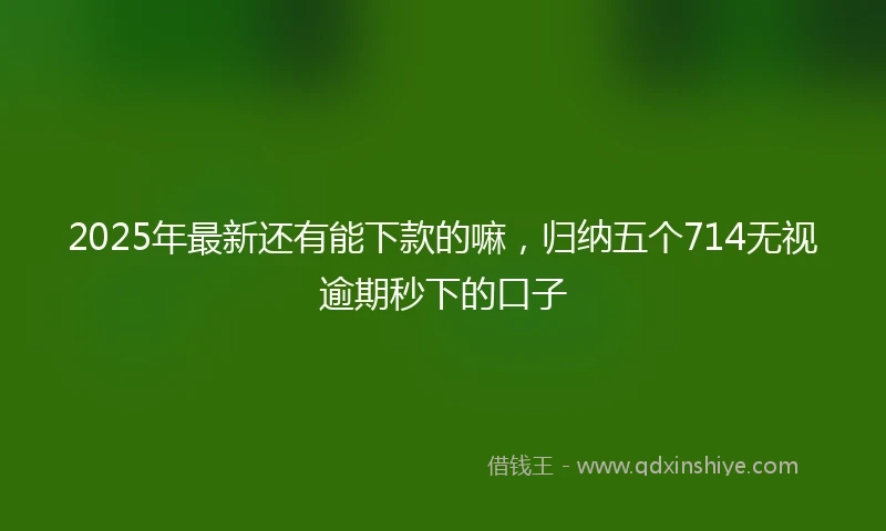 2025年最新还有能下款的嘛，归纳五个714无视逾期秒下的口子