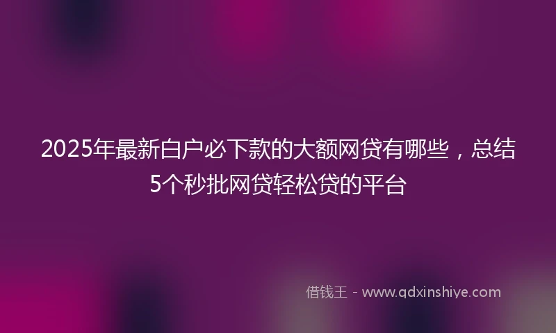 2025年最新白户必下款的大额网贷有哪些，总结5个秒批网贷轻松贷的平台