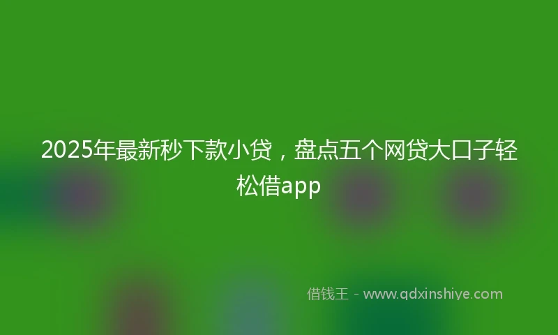 2025年最新秒下款小贷，盘点五个网贷大口子轻松借app