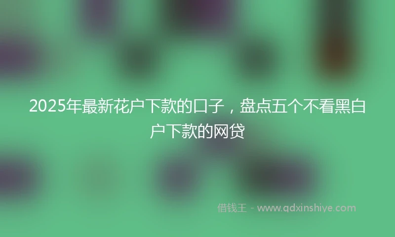 2025年最新花户下款的口子，盘点五个不看黑白户下款的网贷