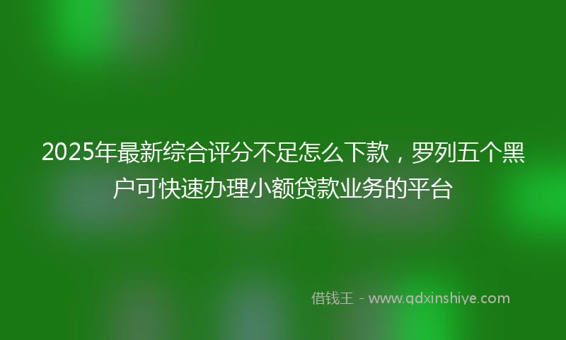 2025年最新综合评分不足怎么下款，罗列五个黑户可快速办理小额贷款业务的平台