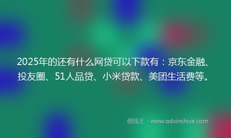 2025年的还有什么网贷可以下款有：京东金融、投友圈、51人品贷、小米贷款、美团生活费等。