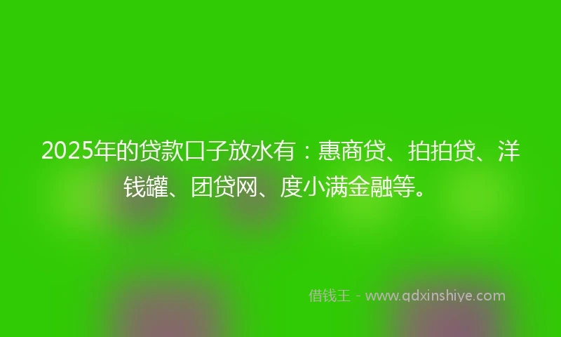 2025年的贷款口子放水有：惠商贷、拍拍贷、洋钱罐、团贷网、度小满金融等。