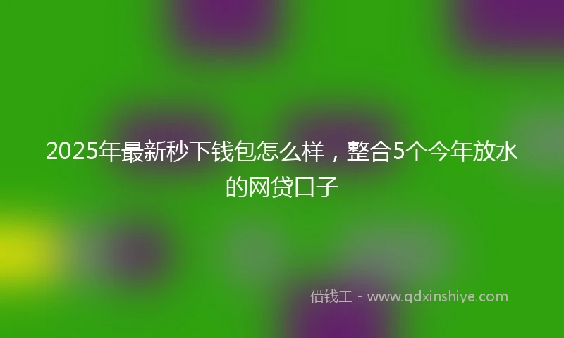2025年最新秒下钱包怎么样，整合5个今年放水的网贷口子