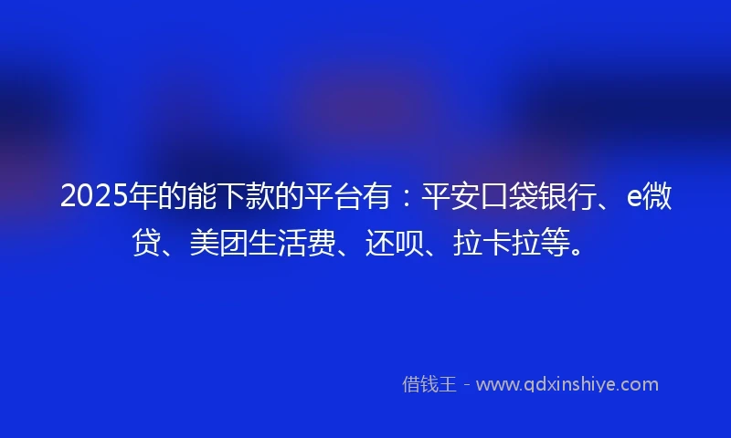 2025年的能下款的平台有：平安口袋银行、e微贷、美团生活费、还呗、拉卡拉等。