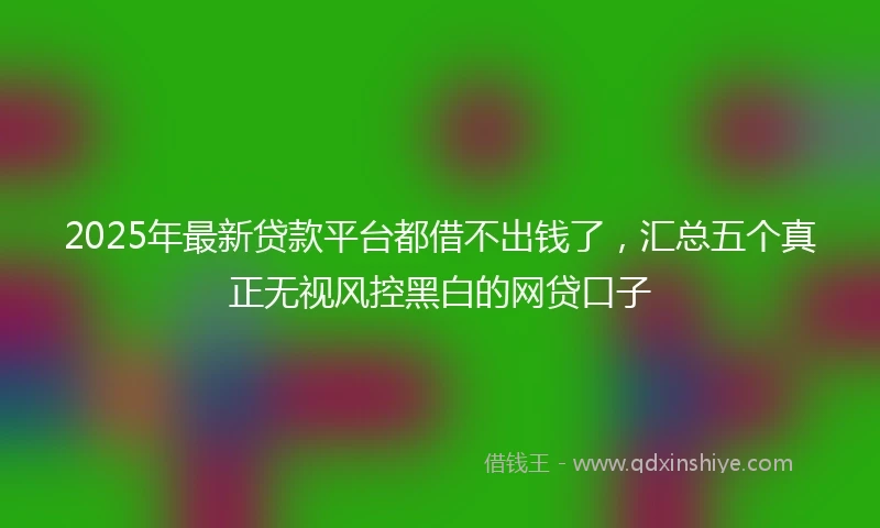 2025年最新贷款平台都借不出钱了，汇总五个真正无视风控黑白的网贷口子