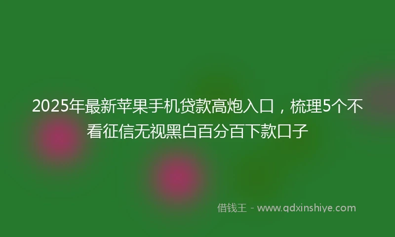 2025年最新苹果手机贷款高炮入口，梳理5个不看征信无视黑白百分百下款口子
