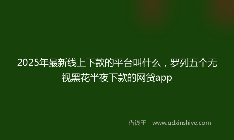 2025年最新线上下款的平台叫什么，罗列五个无视黑花半夜下款的网贷app
