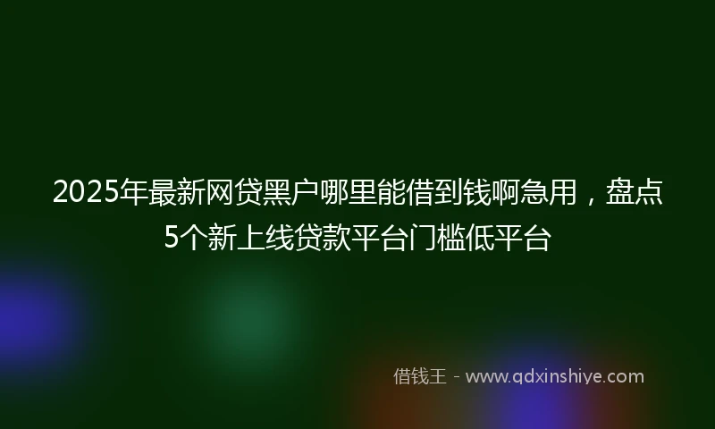 2025年最新网贷黑户哪里能借到钱啊急用，盘点5个新上线贷款平台门槛低平台