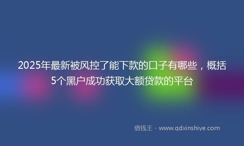 2025年最新被风控了能下款的口子有哪些，概括5个黑户成功获取大额贷款的平台