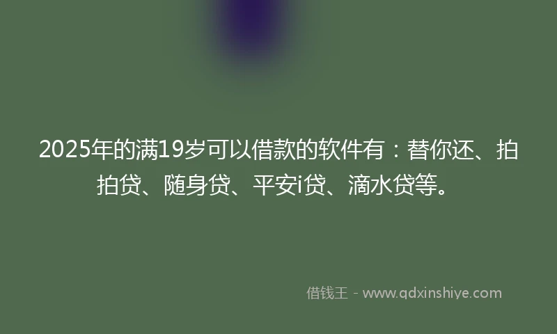 2025年的满19岁可以借款的软件有：替你还、拍拍贷、随身贷、平安i贷、滴水贷等。