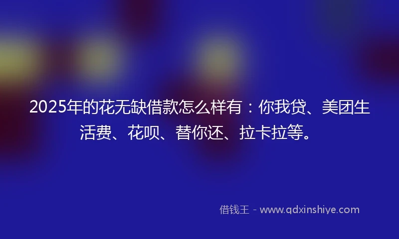 2025年的花无缺借款怎么样有：你我贷、美团生活费、花呗、替你还、拉卡拉等。