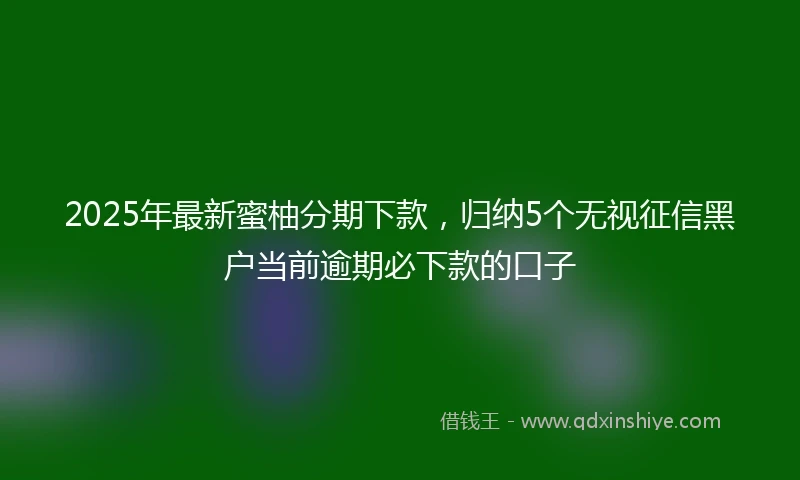 2025年最新蜜柚分期下款，归纳5个无视征信黑户当前逾期必下款的口子