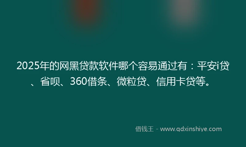 2025年的网黑贷款软件哪个容易通过有：平安i贷、省呗、360借条、微粒贷、信用卡贷等。
