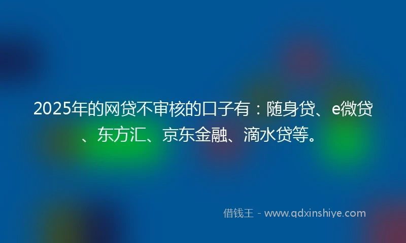 2025年的网贷不审核的口子有:随身贷、e微贷、东方汇、京东金融、滴水贷等。