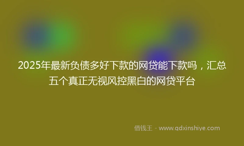 2025年最新负债多好下款的网贷能下款吗，汇总五个真正无视风控黑白的网贷平台