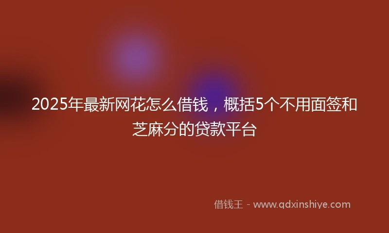 2025年最新网花怎么借钱，概括5个不用面签和芝麻分的贷款平台